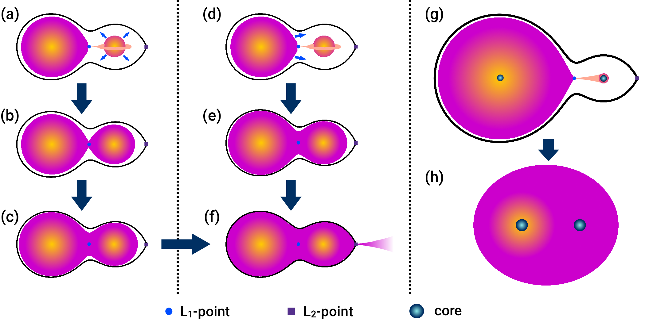 Contact cases schematics. “Contact cases schematics.”